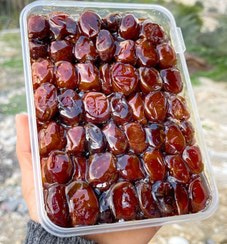 تصویر 3 از خرما کبکاب تازه برداشت با بریکس بالا